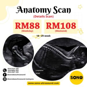 Anatomy Scan Alor Setar