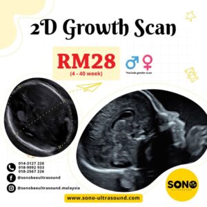 Growth Scan Services