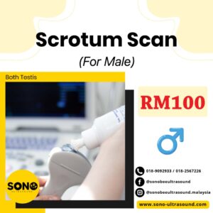Scrotum Ultrasound Services