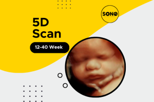 5D Scan