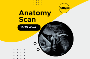 Anatomy Scan