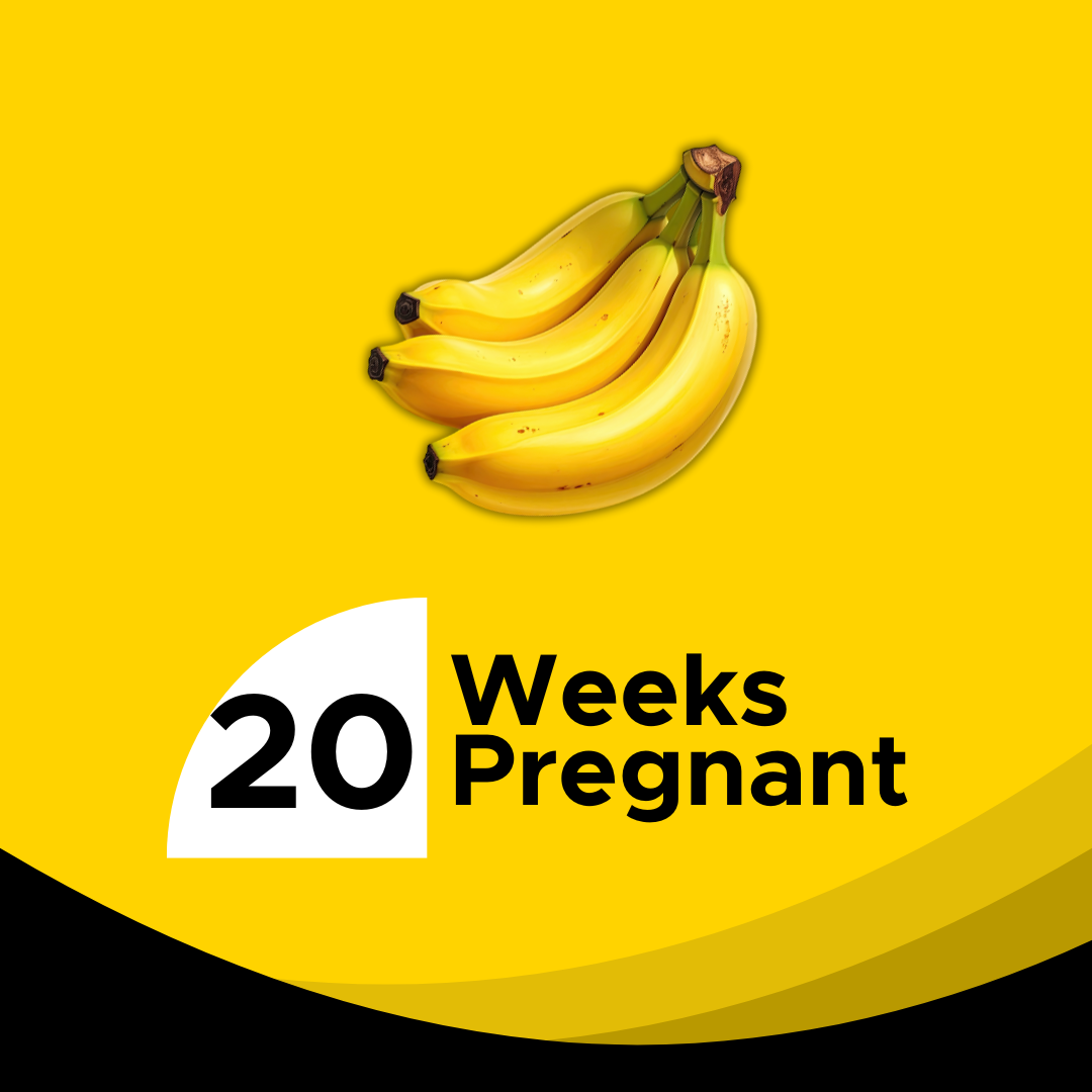 20 Weeks Pregnant Your Ultimate Guide To The Halfway Milestone 