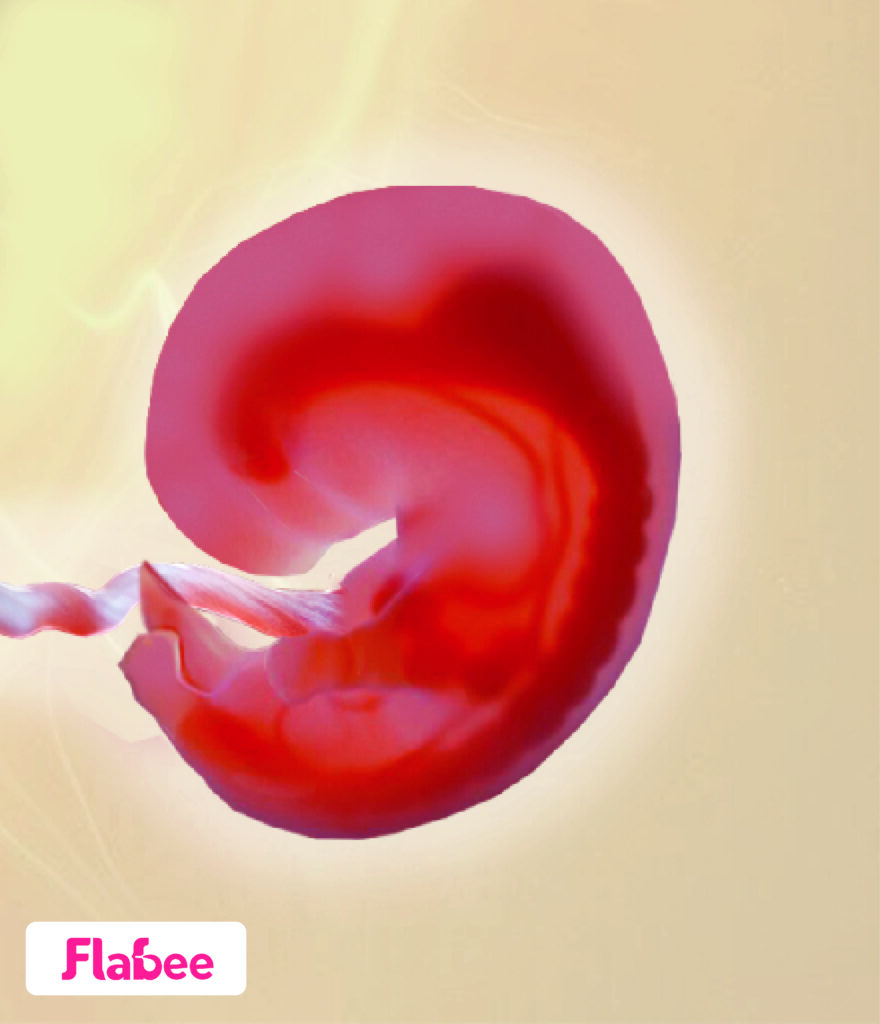 7-weeks-pregnant