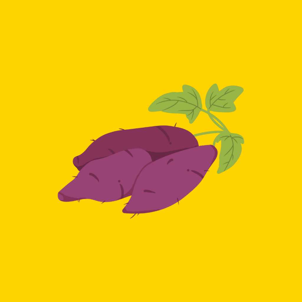 22 weeks pregnant size 2