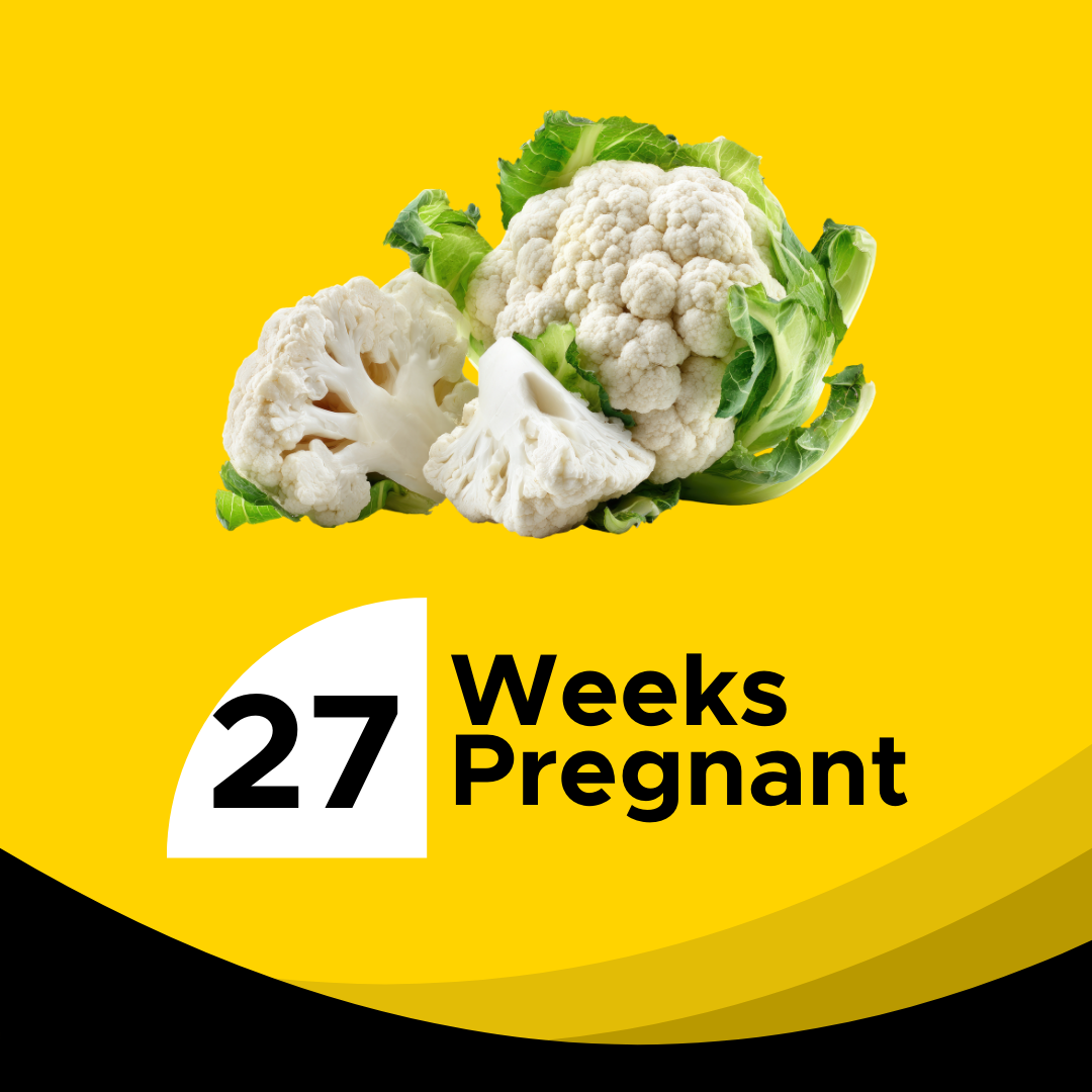 27 Weeks Pregnant: Your Complete Guide to Baby's Rapid Brain Growth ...