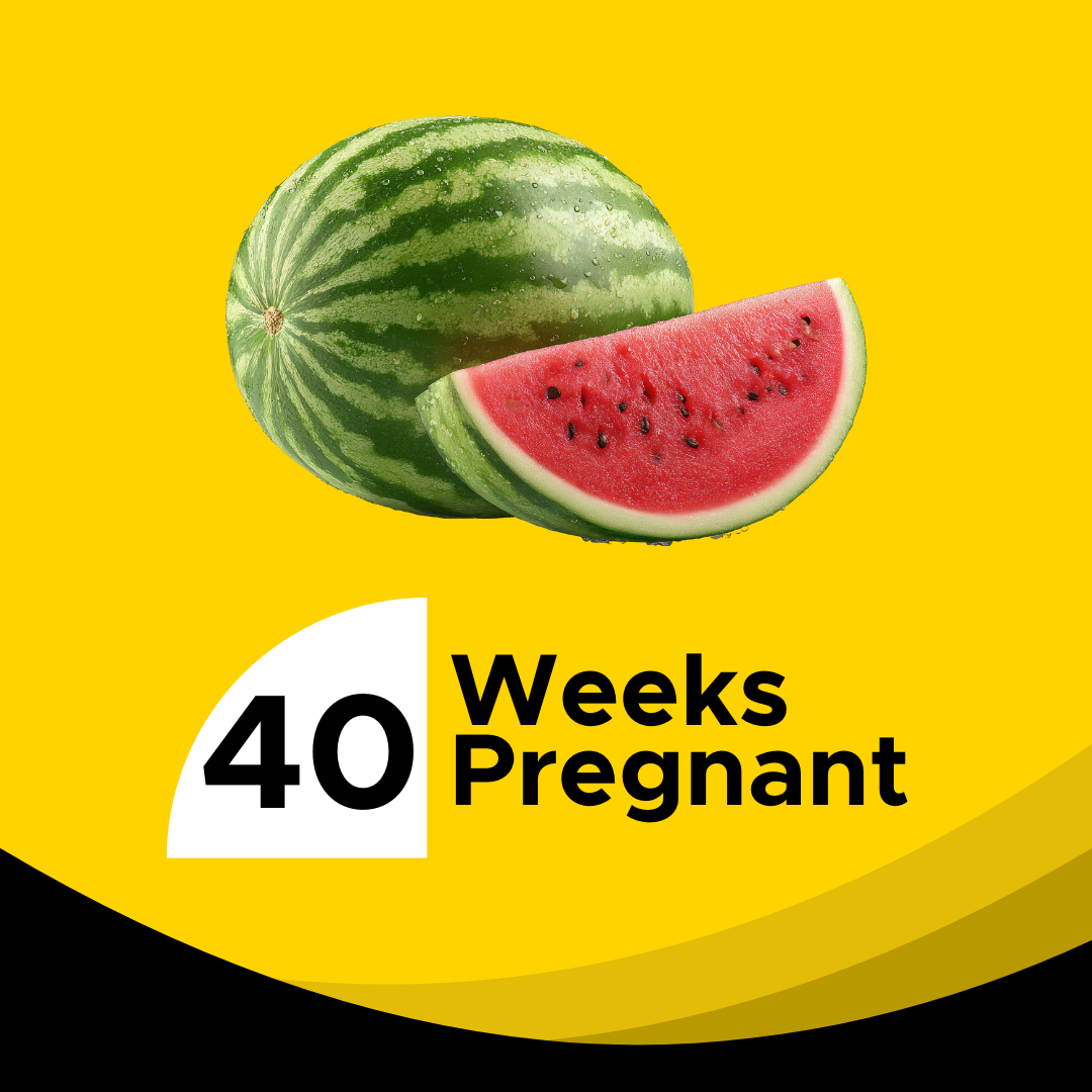 40 Weeks Pregnant: Your Final Countdown Guide to Your Due Date & What ...