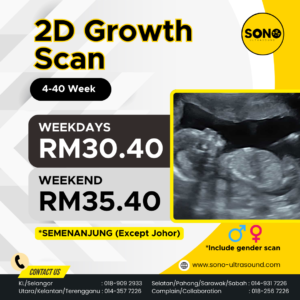 2D Growth Scan