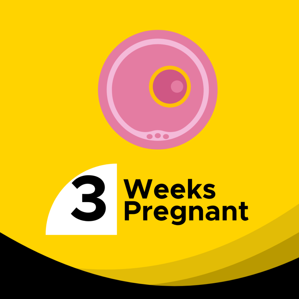 3 weeks pregnant