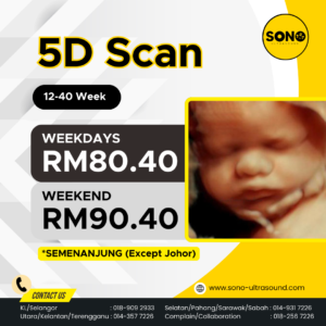 5D Scan