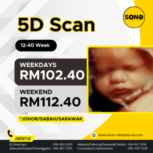 5D Scan Johor Sabah Sarawak