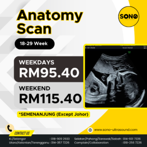 Anatomy Scan