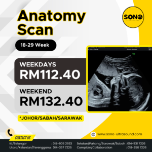 Anatomy Scan Johor Sabah Sarawak