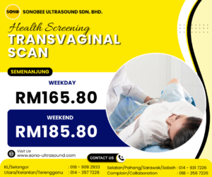 transvaginal scan semenanjung 1